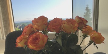 Blumen vor Regenbogen Blumenfenster