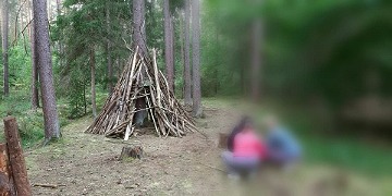 Ausflug in den Wald Exkursion Waldtag